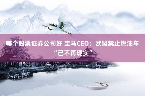 哪个股票证券公司好 宝马CEO：欧盟禁止燃油车“已不再现实”